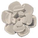 Champagne White Silk Flower