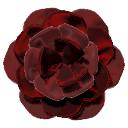 Decadent Red Silk Flower