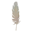 Dove Feather