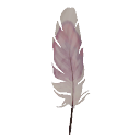 Galah Feather