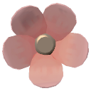 Magenta Silk Daisy