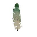 Parakeet Feather