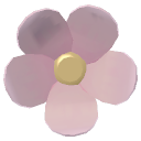 Pink Silk Daisy
