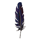 Starling Feather