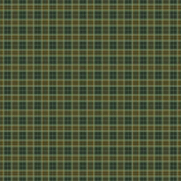 Amostra de tecido Green Plaid