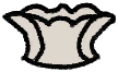 Belladonna Collar