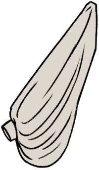 Godiva Sleeve
