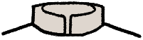 Mandarin Collar